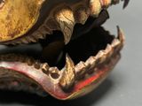 a close up of a statue of a dragon head on a table
