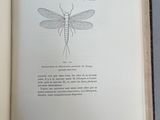 an open book with a drawing of a dragonfly on it