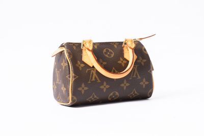 une image d'un sac à main Louis Vuitton sur fond blanc