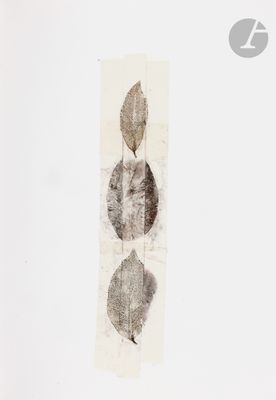 a picture of a picture of a leaf on a piece of paper