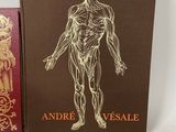 an image of a book with a drawing of a human body on it