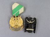 two medals that are on display on a table