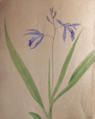 le dessin d'une fleur bleue sur une feuille de papier