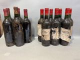 plusieurs bouteilles de vin sont alignées sur une table