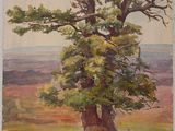 an oil painting of a tree in a field with hills in the background