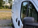 a white van parked in a parking lot with trees in the background