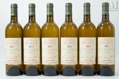 six bouteilles de vin sont alignées sur une surface blanche