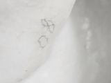 a close up of a snow covered toilet with a black and white picture