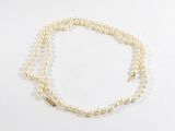 gros plan d'un collier de perles sur une surface blanche