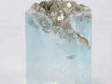 a piece of ice that has a plant growing out of it