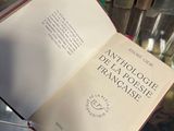 Photo 6/8 du lot