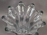 clear glass shell shaped bowl on a white surface