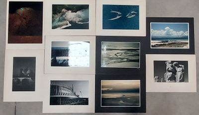 beaucoup de photos accrochées au mur