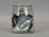 a glass jar filled with aba aba aba aba aba aba aba aba aba aba aba aba aba aba aba aba aba aba aba aba aba aba aba aba aba