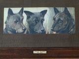 three dogs that are standing in front of a picture