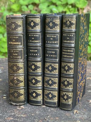 Volumes reliés du XIXe