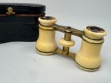 pair of antique binoculars with case on white background