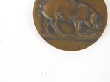 a metal plaque with a picture of a boar on it