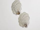 une paire de coquilles Saint-Jacques posées sur une surface blanche, sur fond blanc