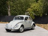 a white vw beetle parked on the side of the road