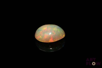 an oplite in the dark with a black background