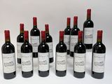 Plusieurs bouteilles de vin rouge sont alignées sur une surface blanche