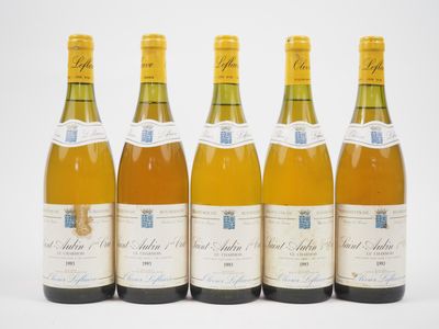 six bouteilles de vin alignées sur une surface blanche
