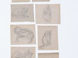 six dessins représentant des chats et un chien sur une feuille de papier