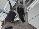 a goat with a long horn standing in a building