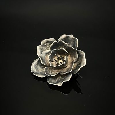 photographie - rose argentée sur fond noir, par David Gordon