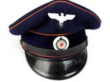 a blue hat with a white bird on it