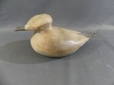 a small bird that is sitting on a table