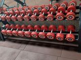 rows of red dumbs sit on a rack in a gym