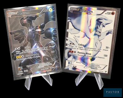 Deux cartes Pokémon sont exposées dans des pochettes en plastique sur un fond noir.