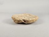 a close up of a rock on a table with a white background