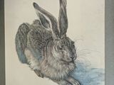a picture of a drawing of a rabbit in a picture frame