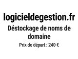 Photo 1/1 du lot