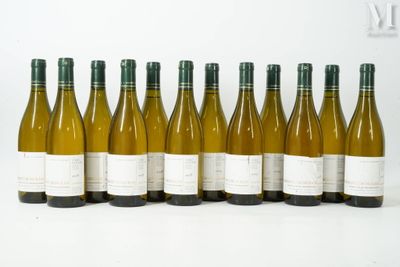 six bouteilles de vin blanc alignées sur une surface blanche