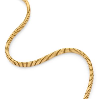 un gros plan de la queue d'un serpent sur fond blanc