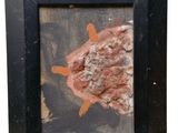 une image représentant un tableau représentant un poisson dans un cadre noir