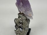 a purple bird perched on top of a rock on a white background