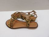 a pair of leopard print sandals on a white surface