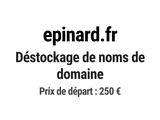 Photo 1/1 du lot