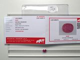 une fausse carte d'identité sur laquelle figure la photo d'un éléphant
