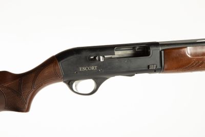 Fusil semi-automatique Turque Hatsan modèle Escort, calibre … - Photo 1