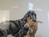 une photo d'un chien tenant une peluche dans la gueule