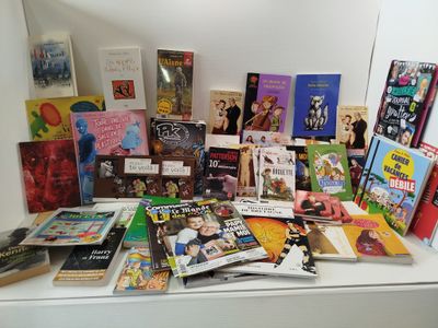 Lot de 20+ MULTI-ÉDITEURS - Livres et Magazines - Romans BD …