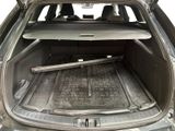the back of a car with a surfboard in the trunk