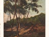 une photo d'un tableau représentant des arbres dans les bois
