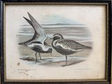 painting of a couple of birds standing on top of a sandy beach
